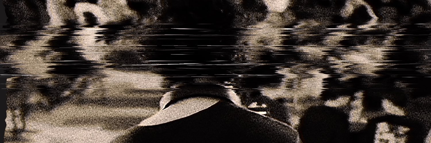 levinkubis's profile banner image