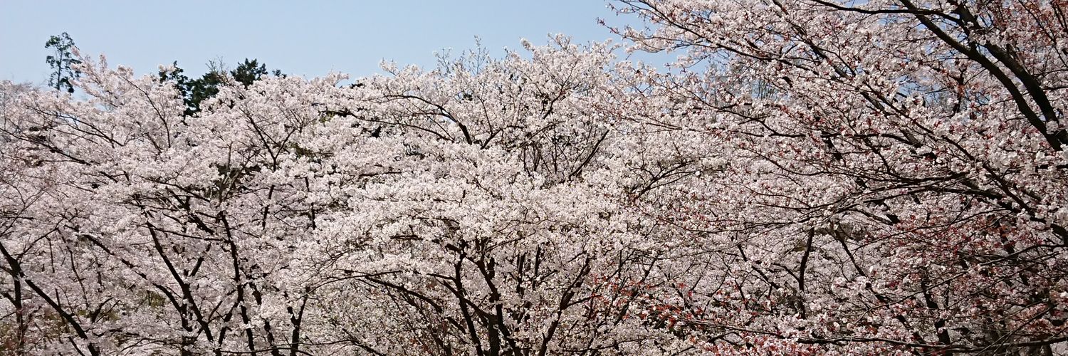 catnapcomai's profile banner image