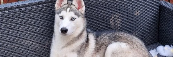 ArronJTaylor's profile banner image
