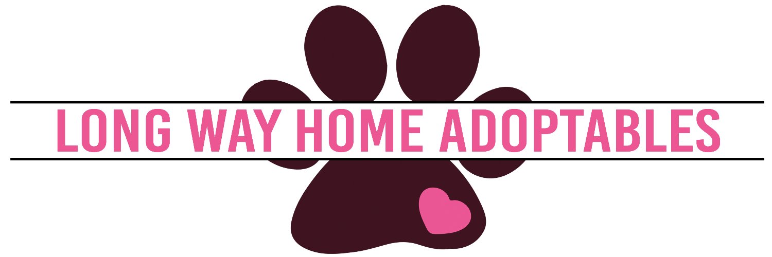 Long Way Home Adoptables banner