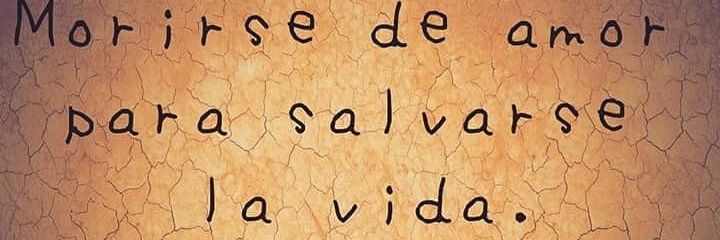 natiidip's profile banner image