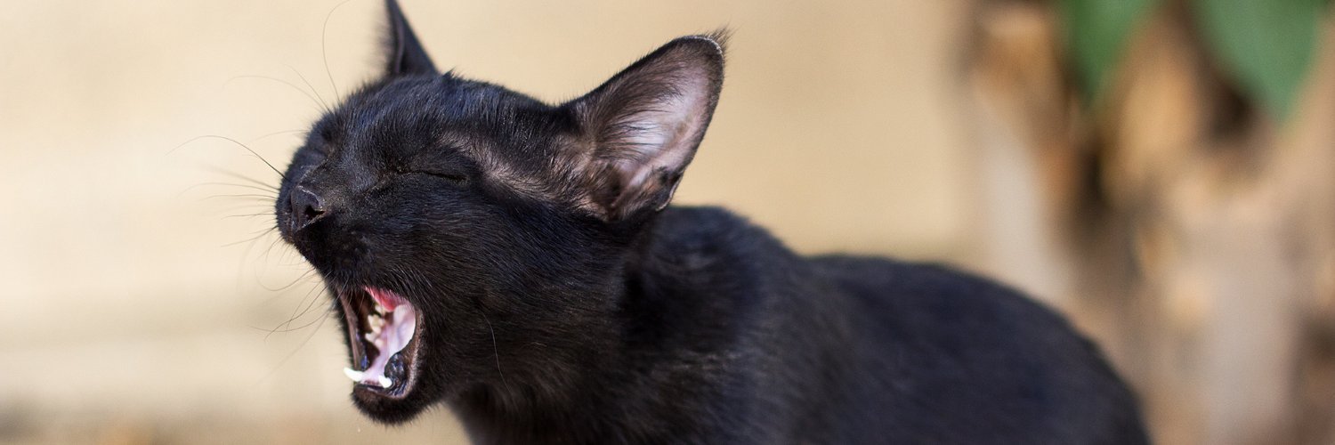 Ehsanislav⁦ banner