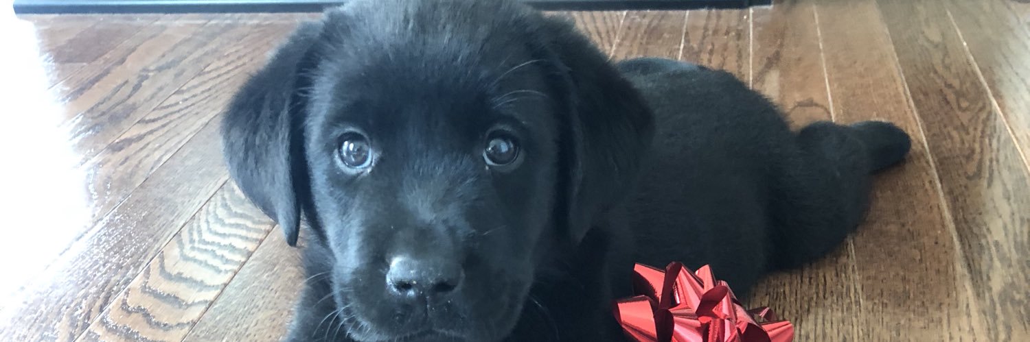 Dominique Alexander banner