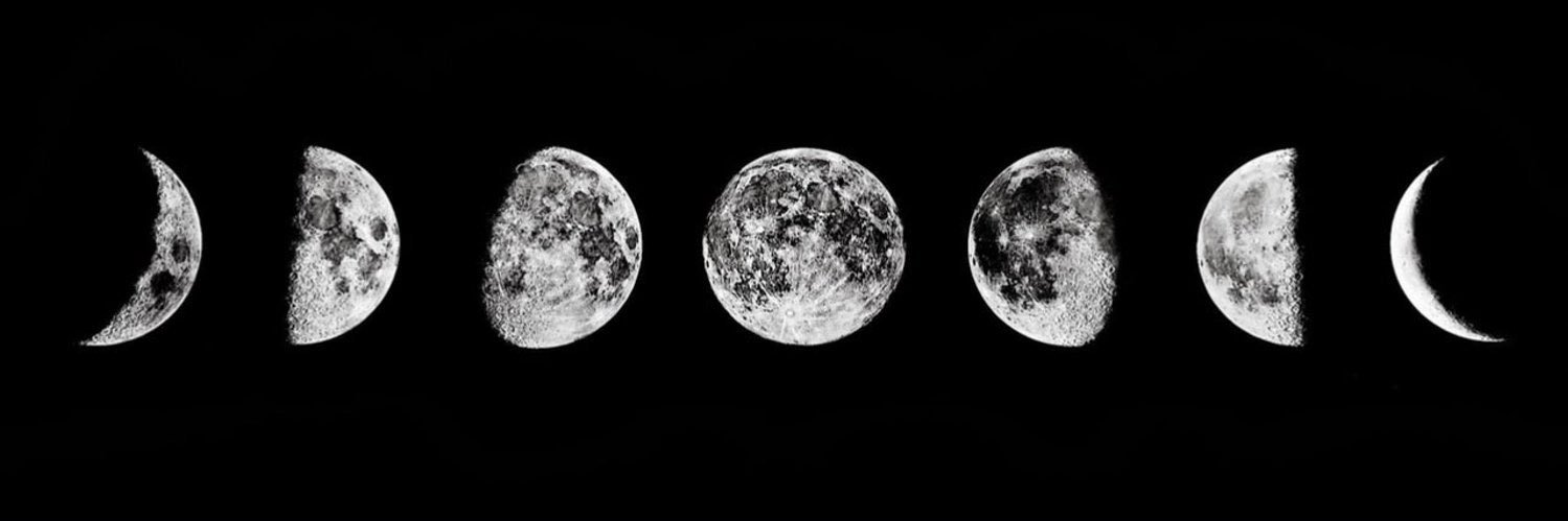 BaileyKlingler's profile banner image