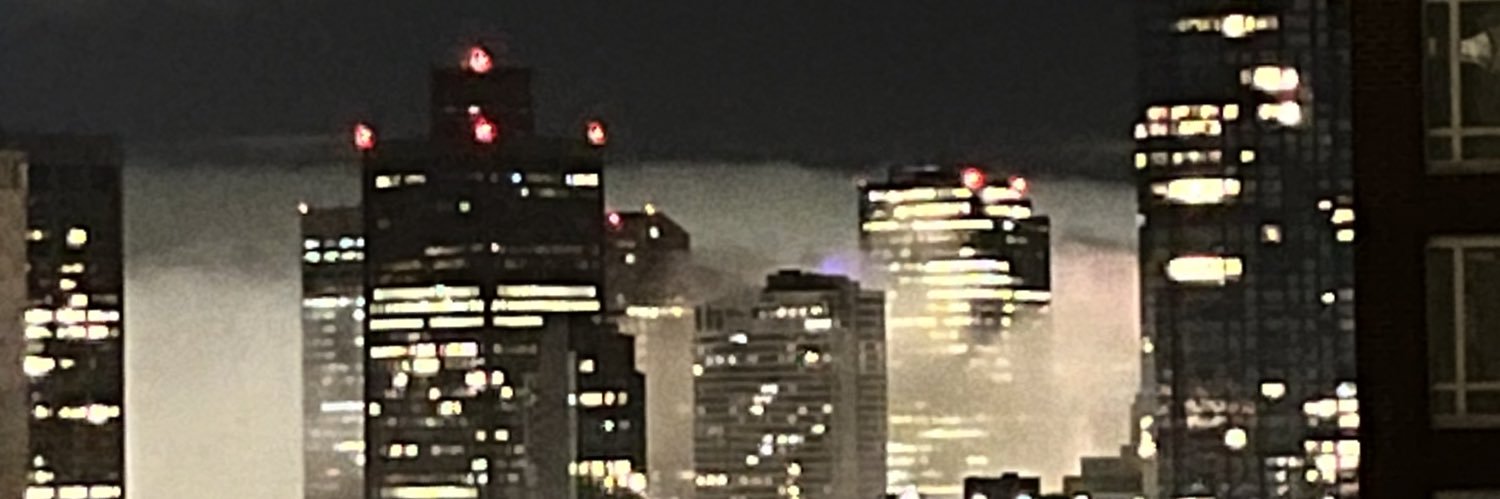 Sabrina Silva banner