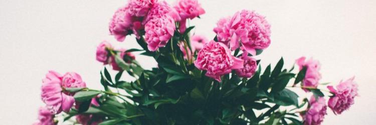 AshbyShafer's profile banner image