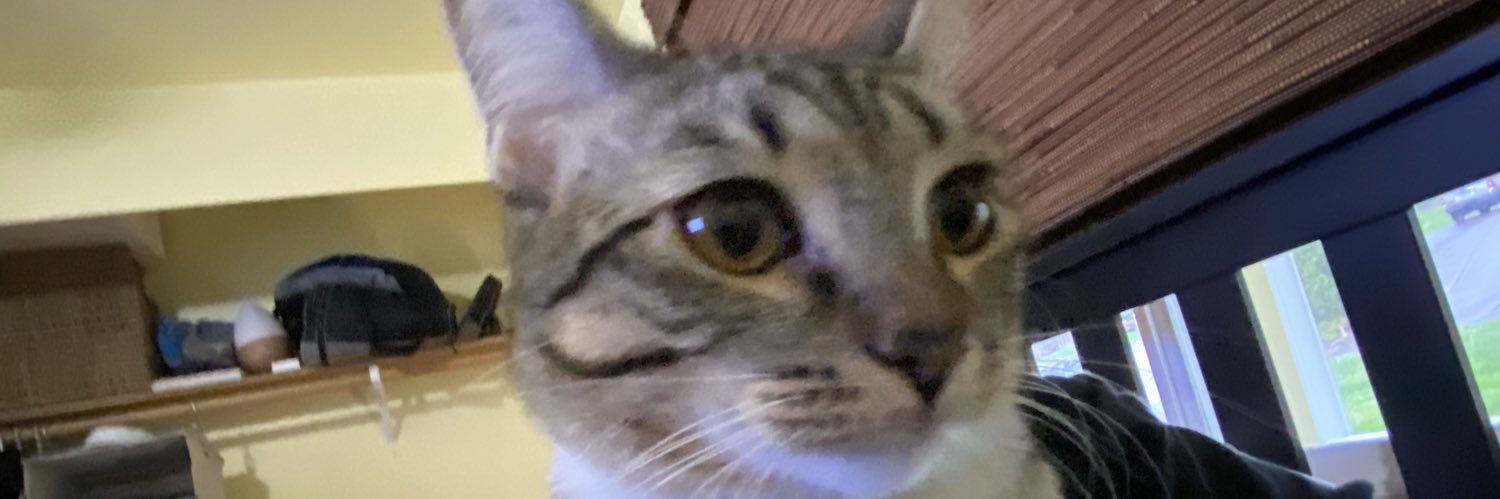 LiamTheIII's profile banner image