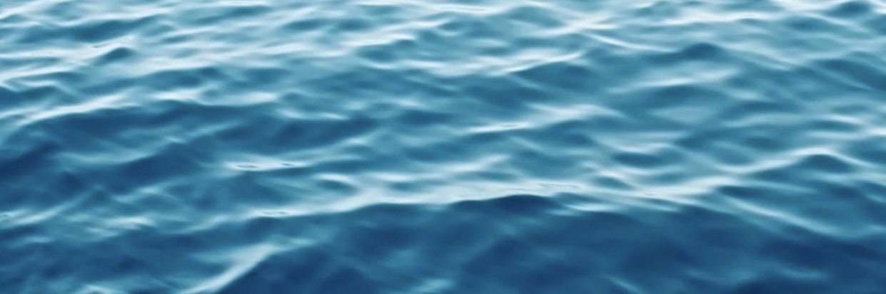 internet stranger banner