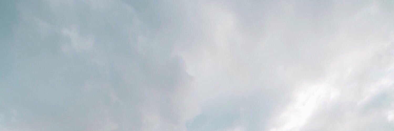 jadinepls's profile banner image