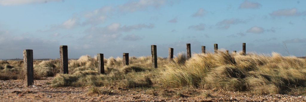 Islandprojects's profile banner image