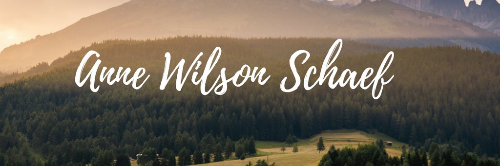 AnneWSchaef's profile banner image