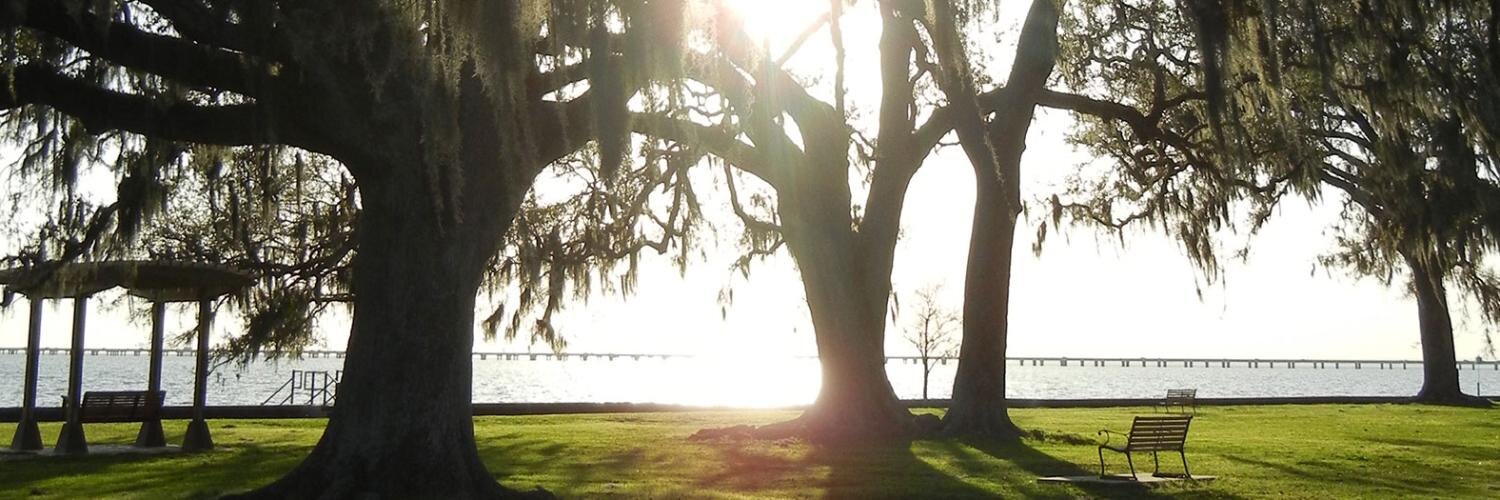 GrantsGift's profile banner image