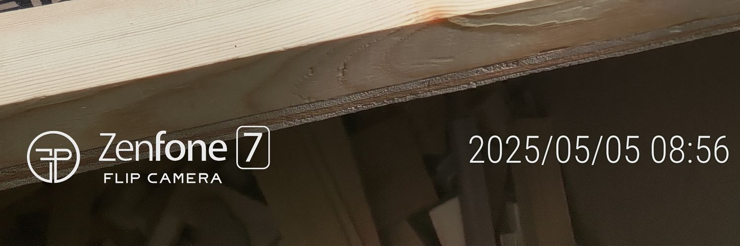 龍石茜(RN.ファンキーファニーエイリアン)🐲🌽 banner