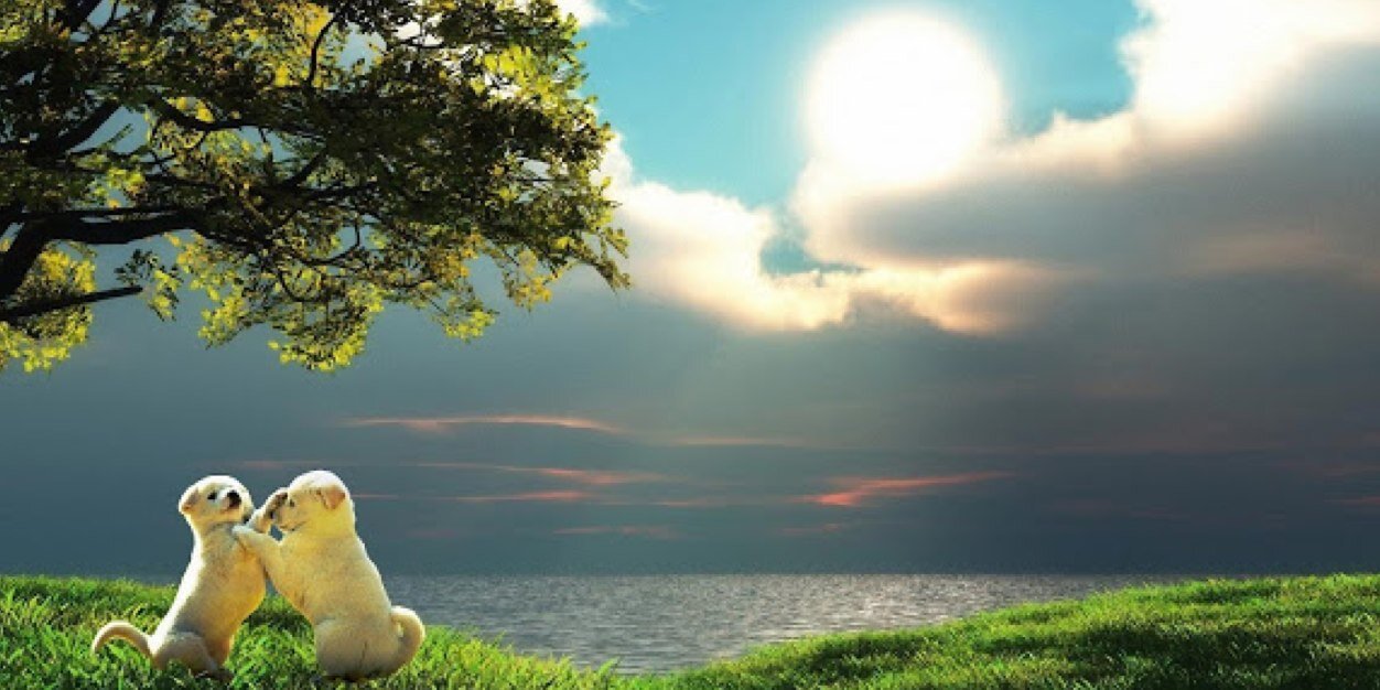MargiFreites's profile banner image