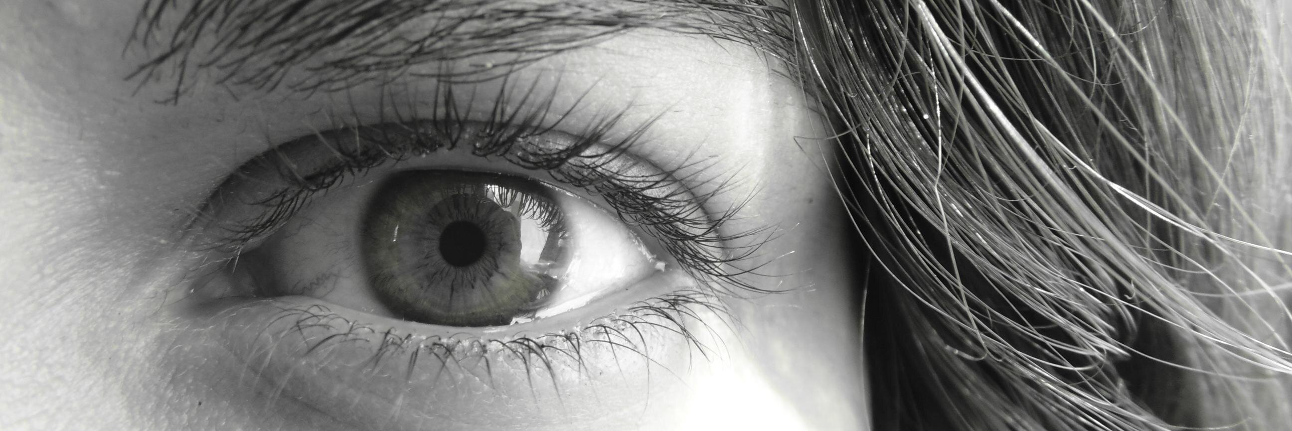 Nicol_slec's profile banner image
