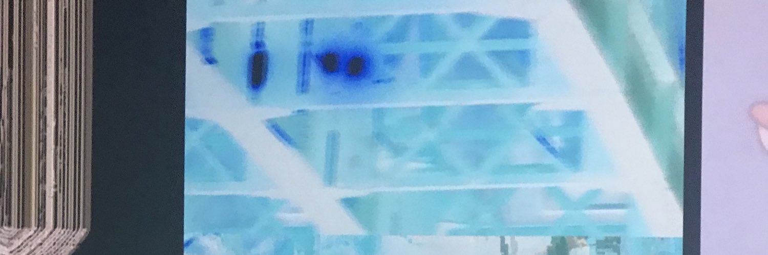*Ｓ ℹ︎ ｋ* banner