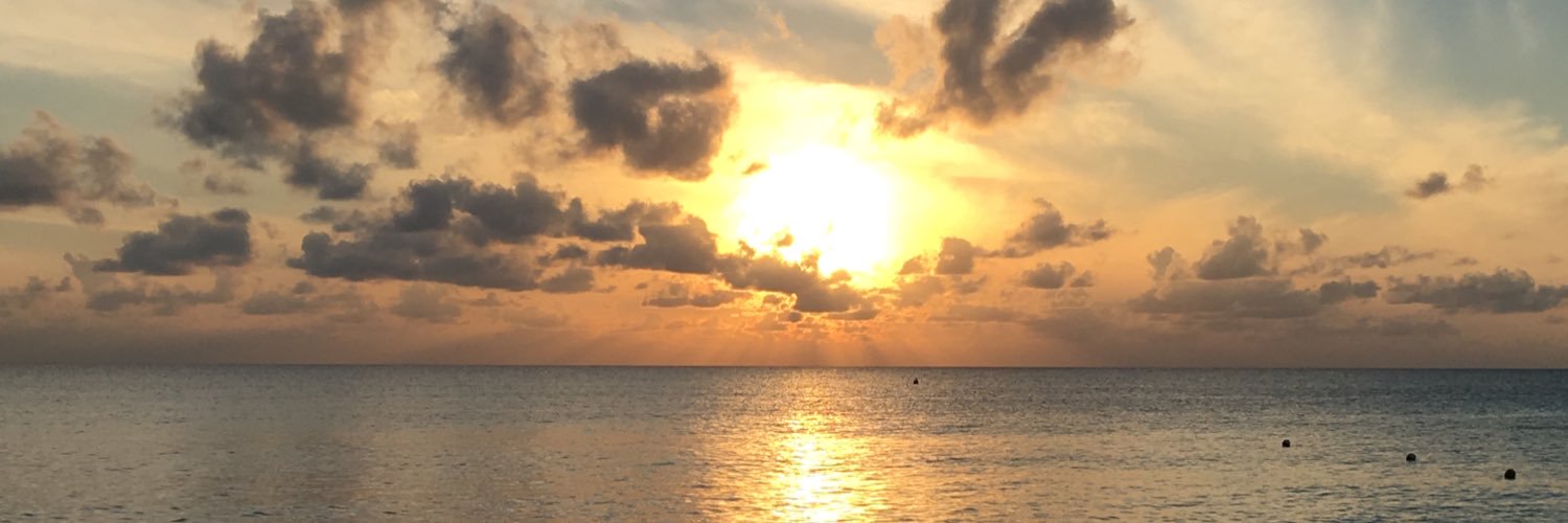 jesibaughman's profile banner image