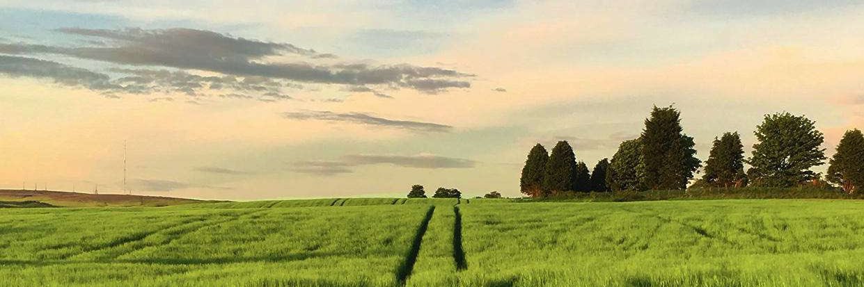 aakarshrastogi's profile banner image