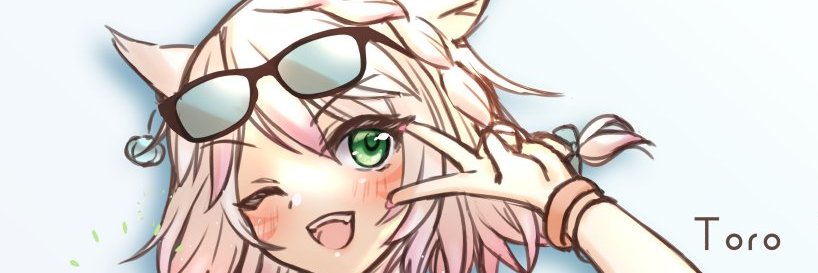ff_toro's profile banner image