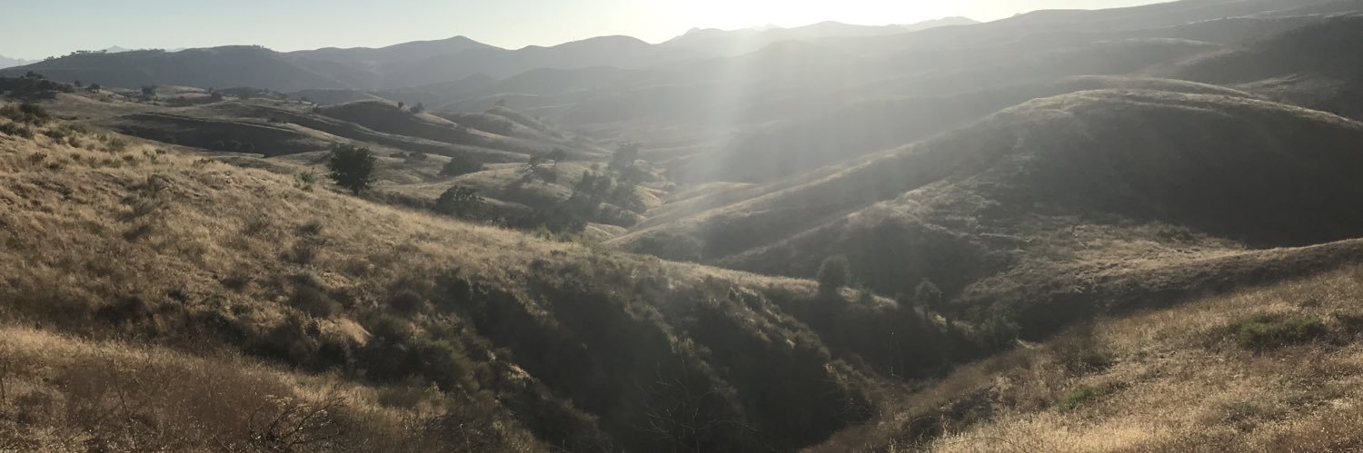 LexMelrose's profile banner image