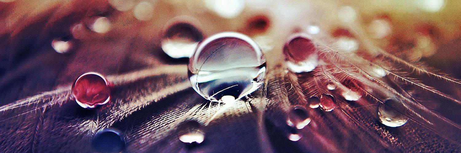 MissElsa86's profile banner image