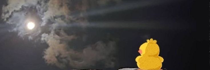 AemAutumn's profile banner image