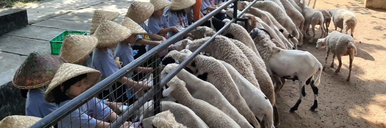 Habuskeun 💨💨 banner