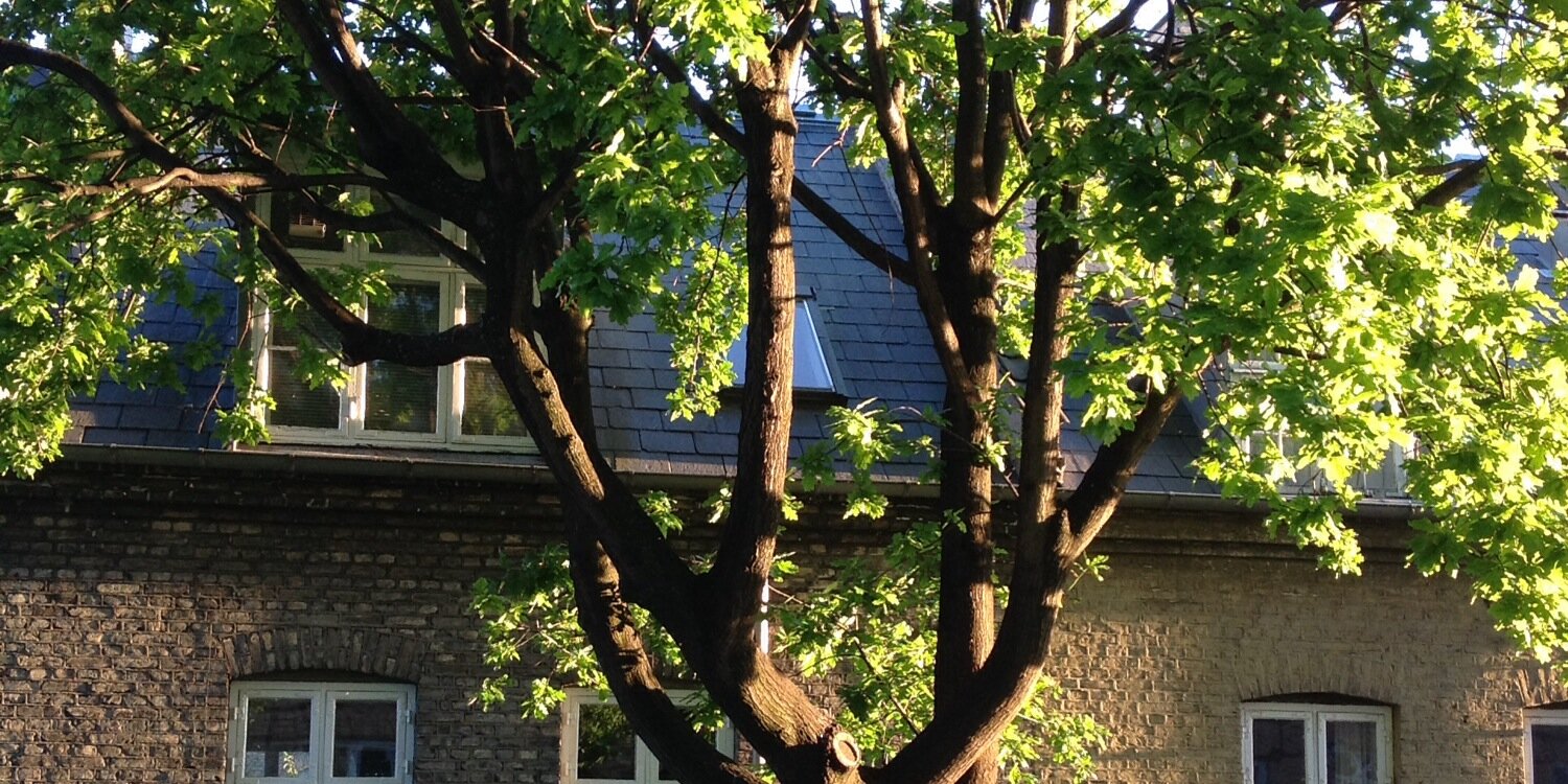 Lene Krogh Jeppesen banner