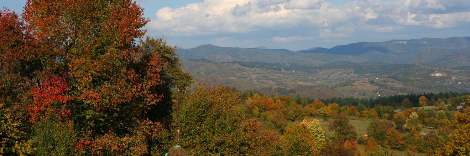 henigdavid's profile banner image