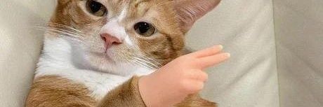 12_GuageVP's profile banner image