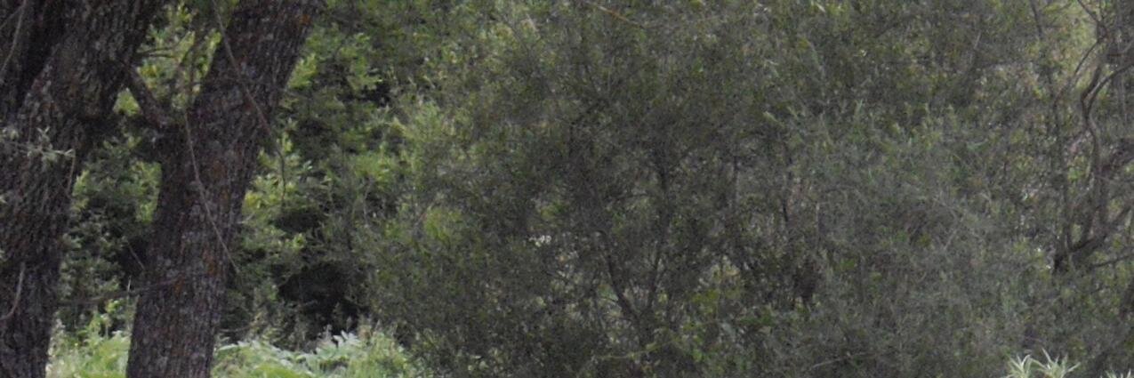 isabeltp70's profile banner image