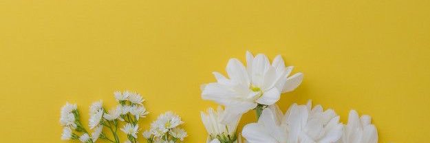 ©real__pcl. banner