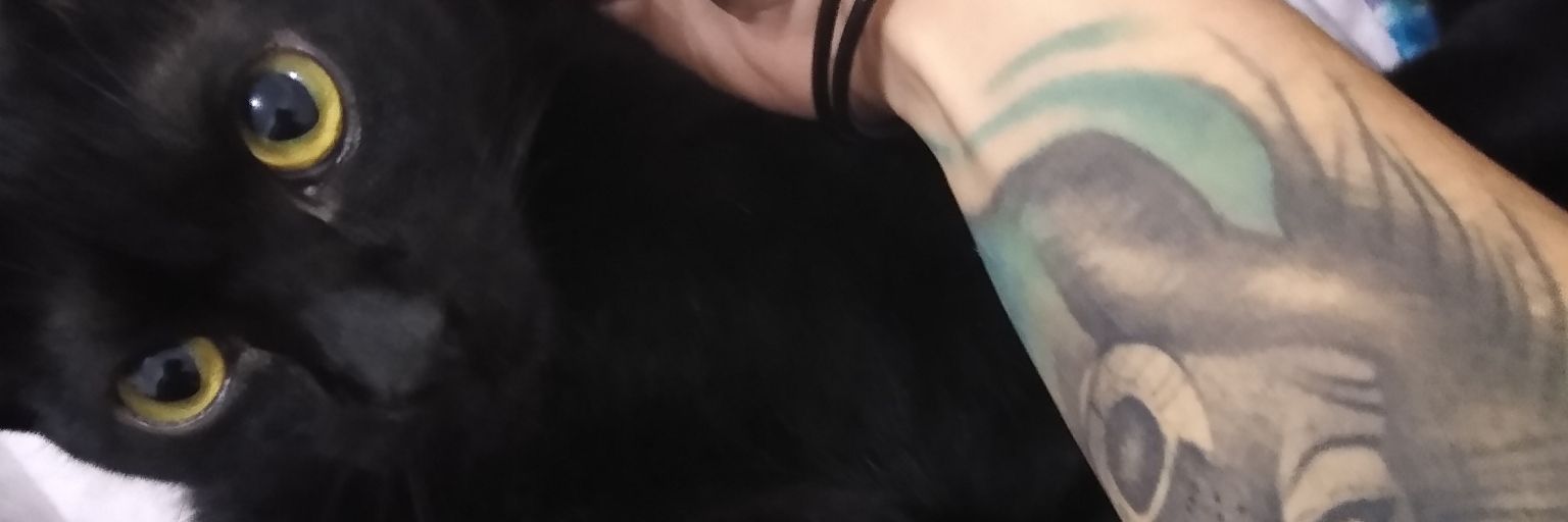 Stefane5h's profile banner image