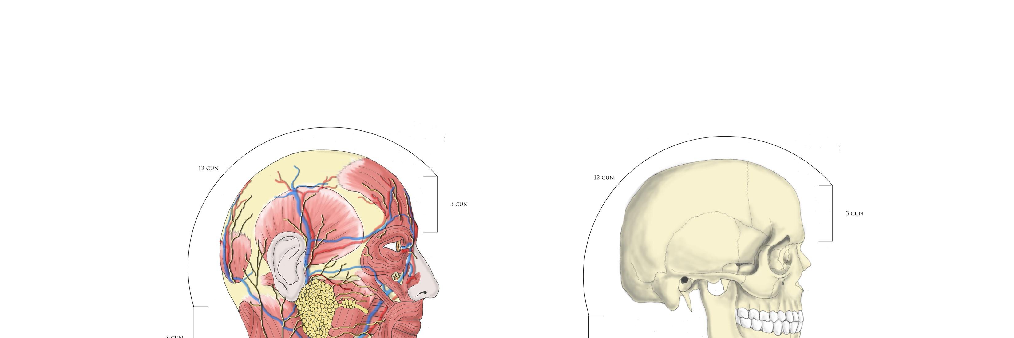 Leopold Jenkins banner