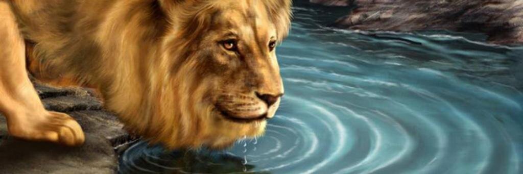 Mehammo's profile banner image