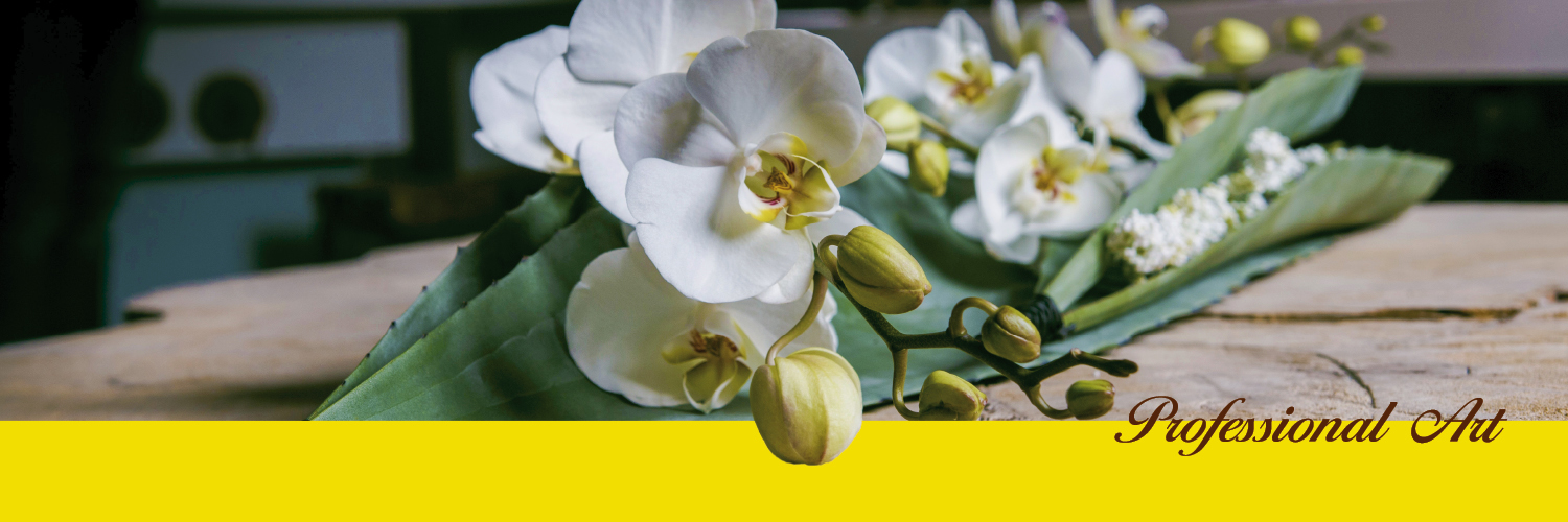 Concorde Orchids banner