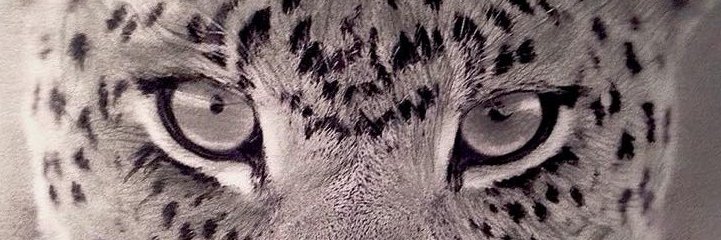 SimonaPresenti1's profile banner image