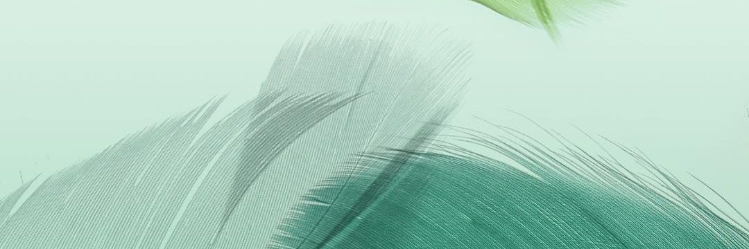 dirfasaja's profile banner image
