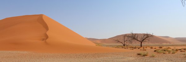 julelumma Profile Banner