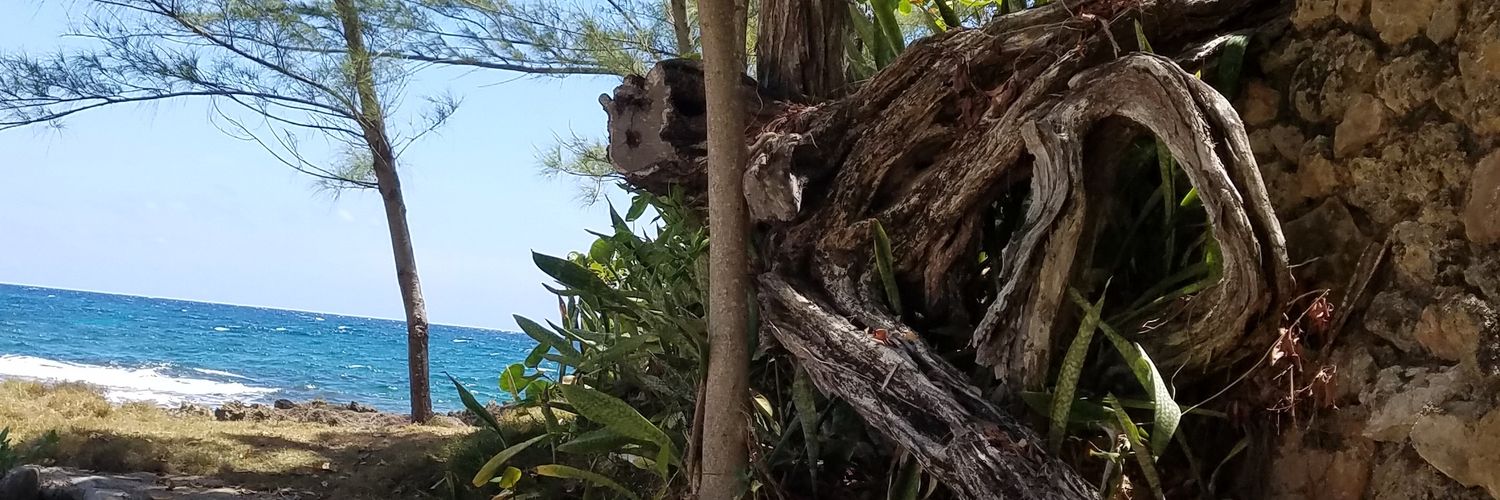 Bayspringsoaps's profile banner image