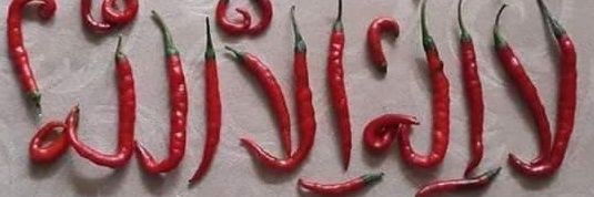 Omar1924 banner