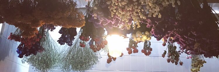 mxs_1d's profile banner image