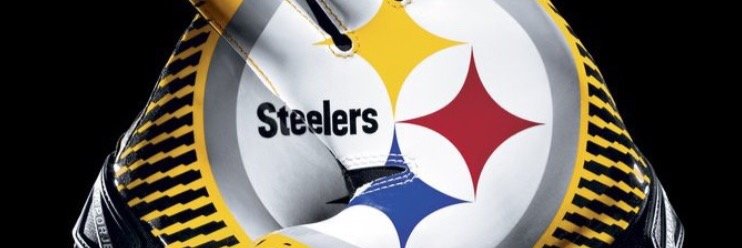 stieneckerw's profile banner image