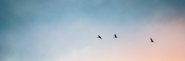 Claudia_Ung Profile Banner