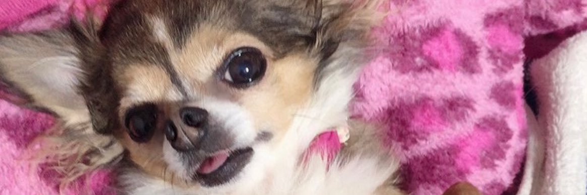 kimiko_321's profile banner image