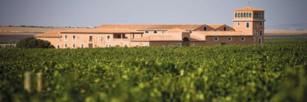 BodegaAljibes's profile banner image