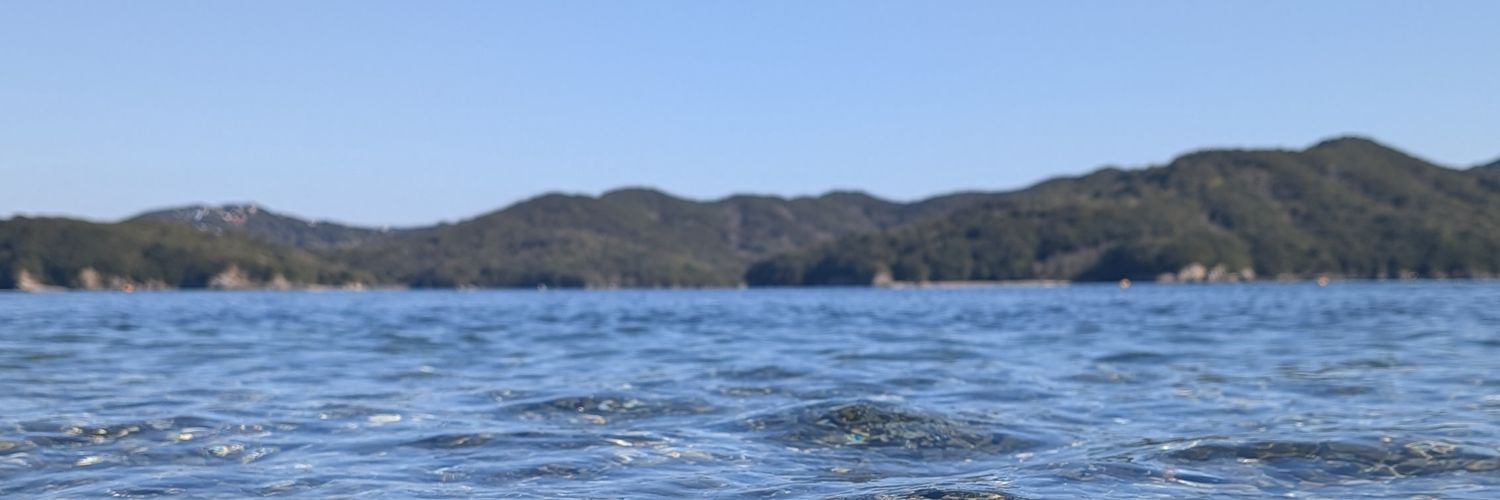 baugawabau's profile banner image