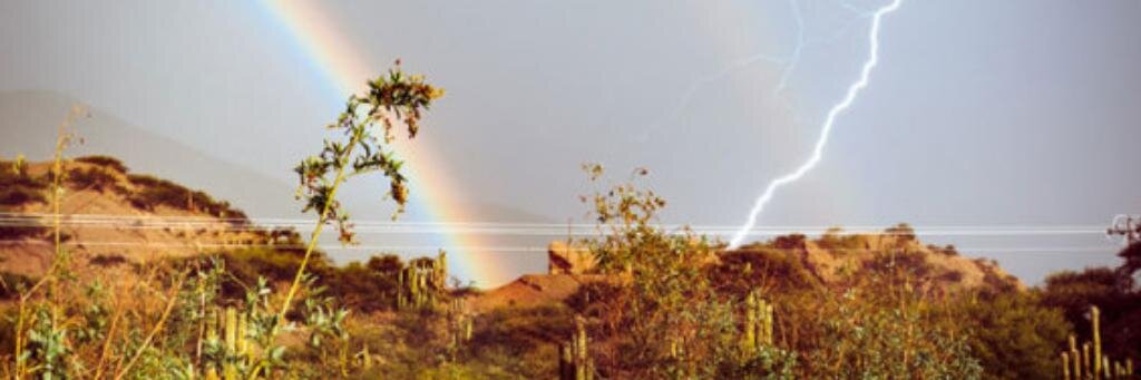 D-One ( No DM Pls ) banner