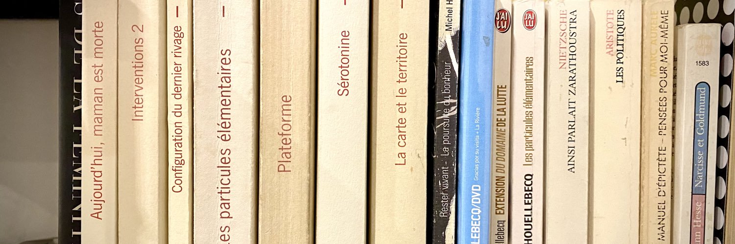 GrenouilleNRV 🇫🇷🇪🇺🇺🇦🇮🇱🪐🚀☀️🌴 banner