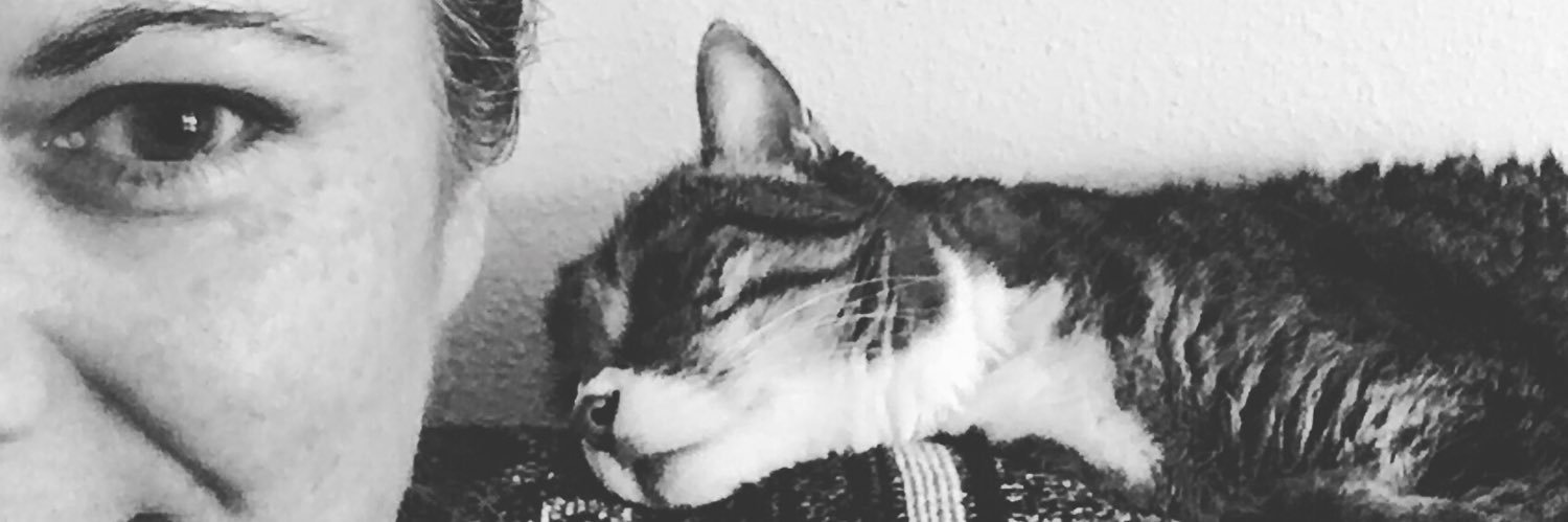 DisCommMom's profile banner image